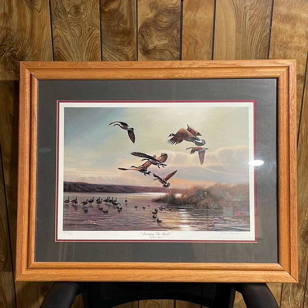 Swinging The Bend (Geese) by John Green